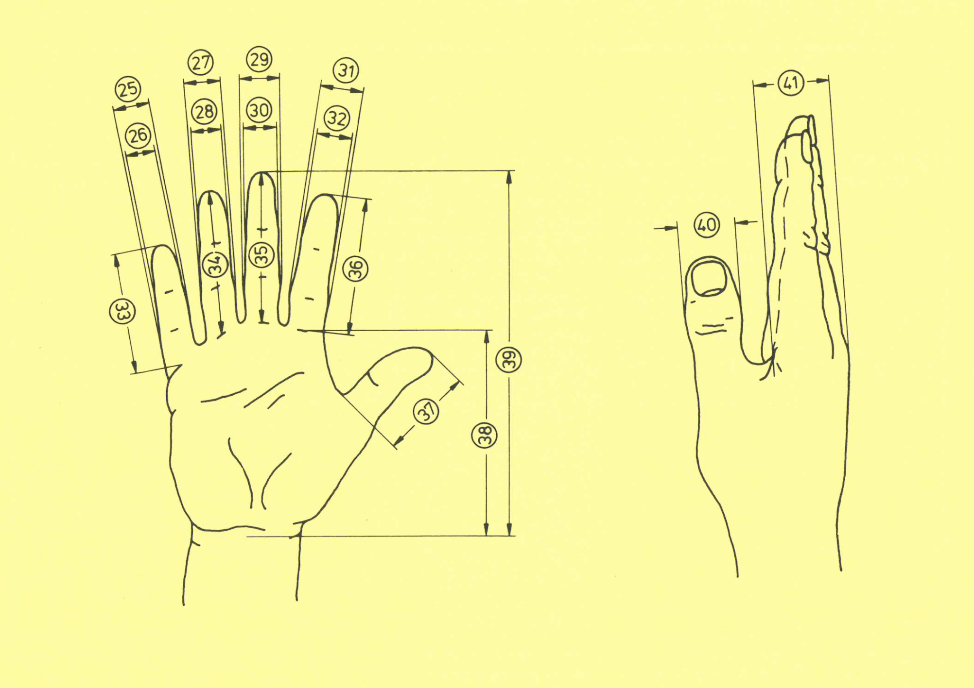 Diagramm einer Hand mit verschiedenen nummerierten Messpunkten und Längenangaben für Finger und Handfläche. Es zeigt detaillierte Maße der Fingerknochen und Gelenke für normierte Handgrößen.