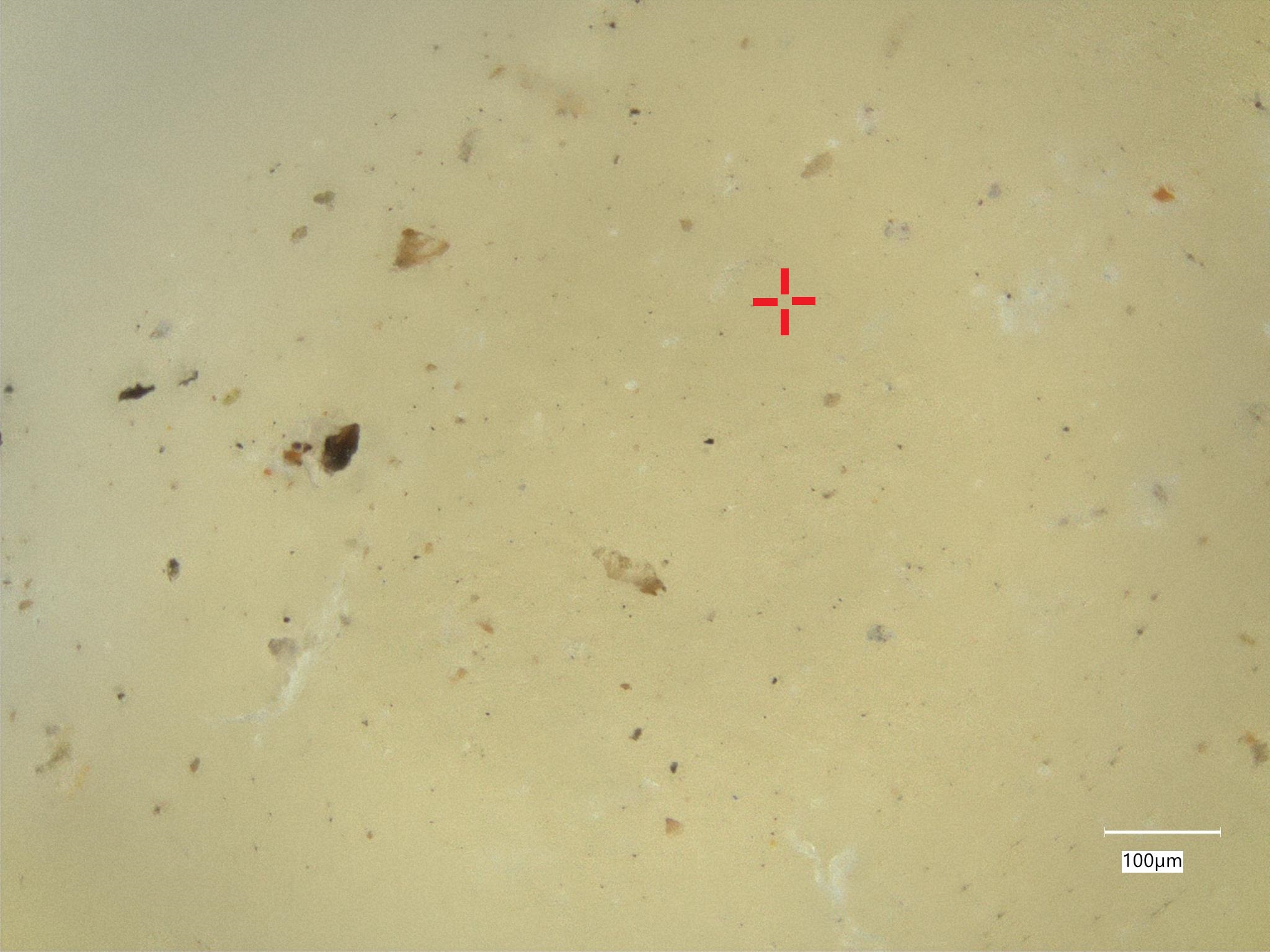 Mikroskopische Aufnahme von fein verteilten Partikeln in einer Probe, markiert mit rotem Kreuz, Maßstab: 100 µm.