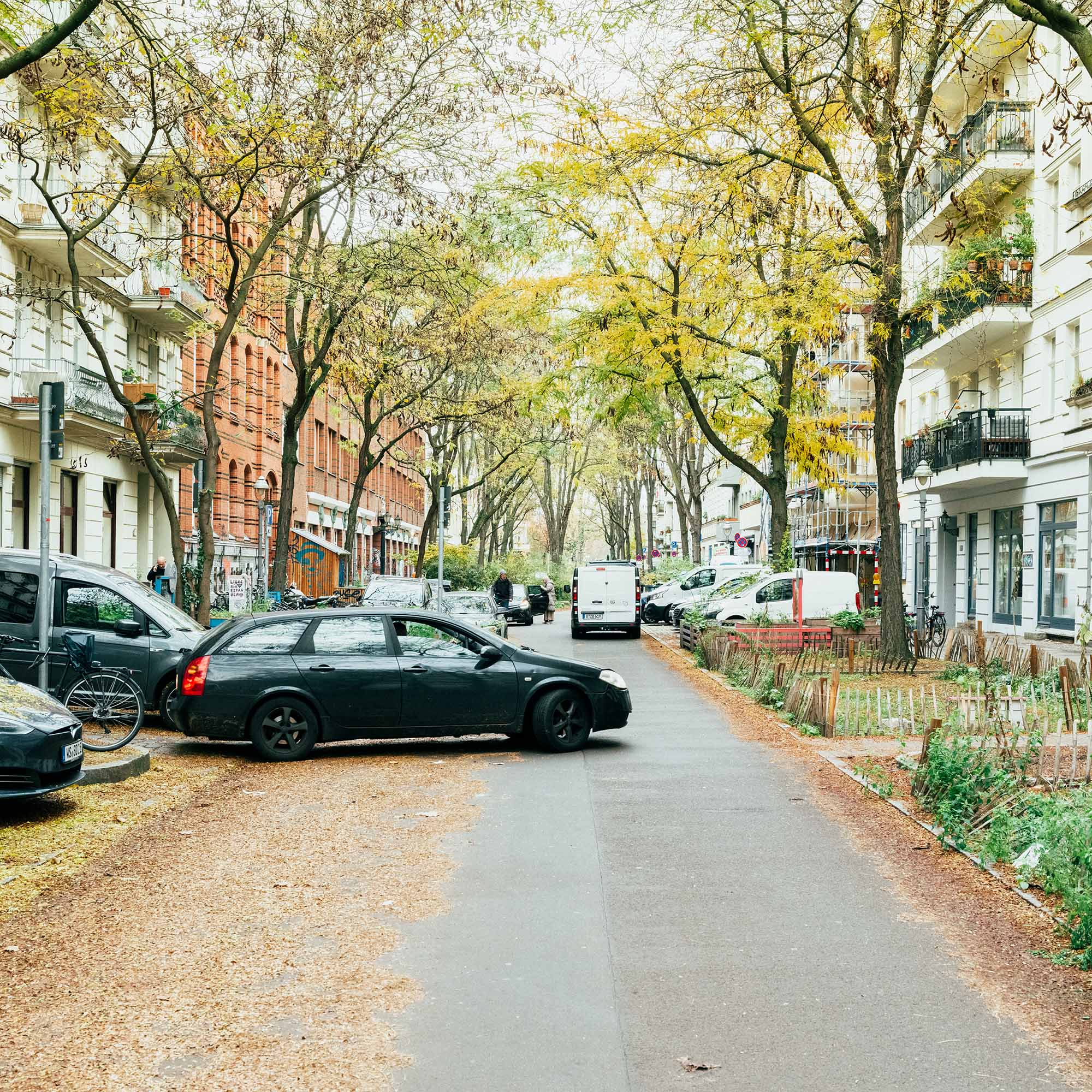 Stadtstraße mit geparkten Autos, herabgefallenen Blättern, Bäumen und Altbauten mit Balkonen.