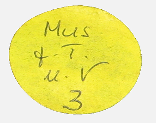 Gelber runder Aufkleber mit handschriftlicher Notiz: ‚Mus. & T. u. V. 3‘.